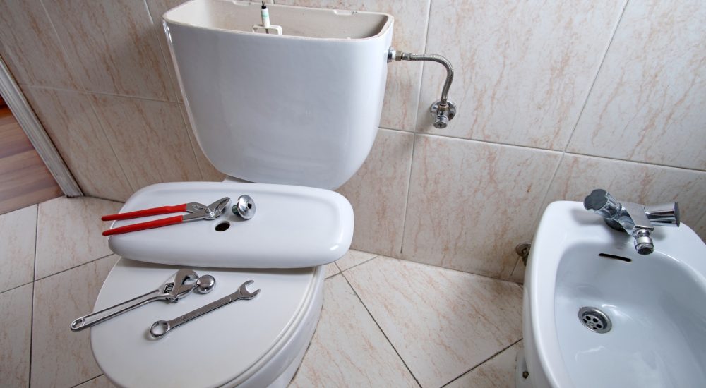 toilet-repair